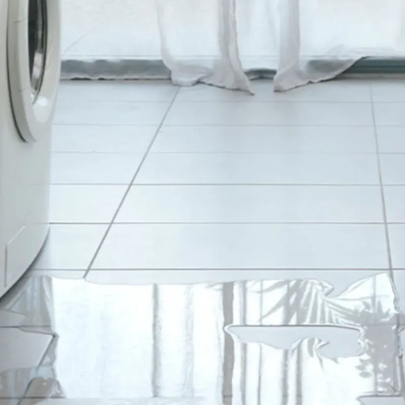Appliance Leak Cleanup in Luxemburg, WI
