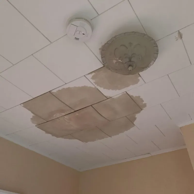 Ceiling Water Damage Repair in Luxemburg, WI