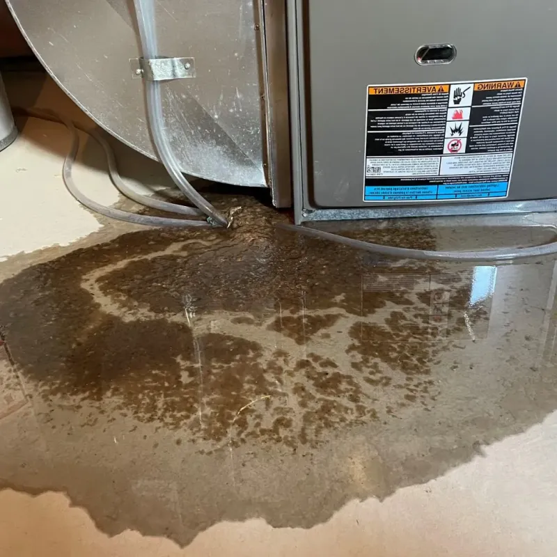 Pipe Burst and Leak Restoration in Luxemburg, WI