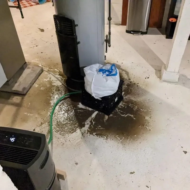 Sewage Backup Cleanup Service in Luxemburg, WI